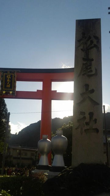 (11)松尾大社入り口鳥居