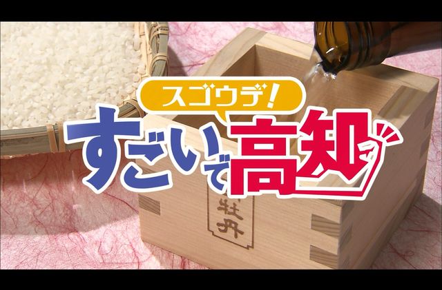 すごいで高知タイトル.jpg