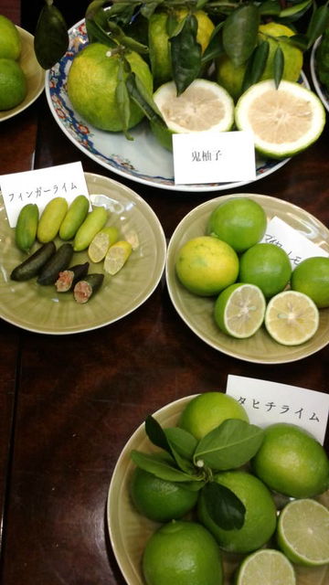 (9)鬼柚子、レモン等々