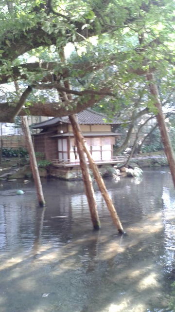 (7)庭園2