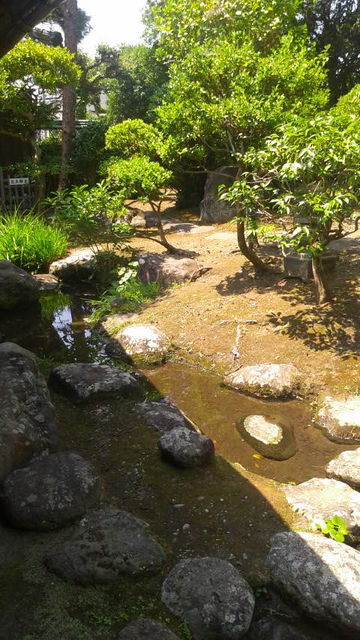(17)庭に沢