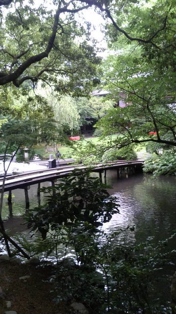 (6)庭園