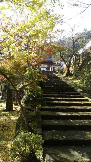 (13)青源寺手前の石段の紅葉