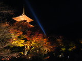 DSCF5317