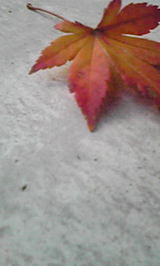 Image023