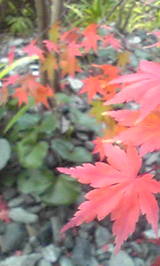 Image032