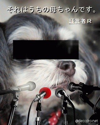 decojiro-20120116-154755