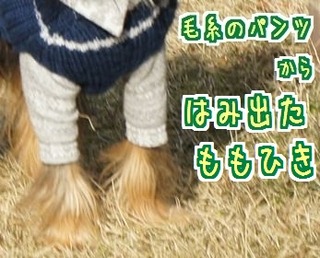 ÌÓ»å¤Î¥Ñ¥ó¥Ä