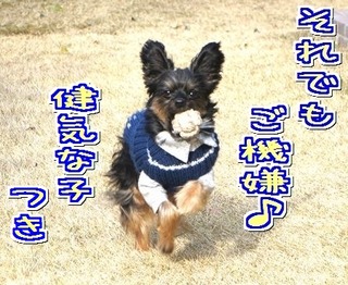 ¤½¤ì¤Ç¤â