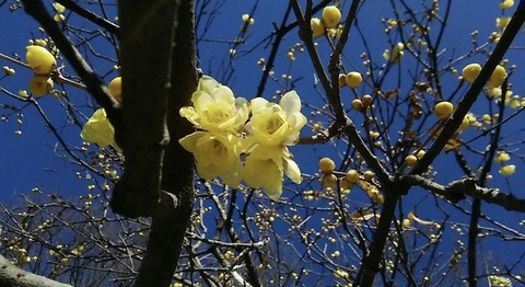 image1 (4)