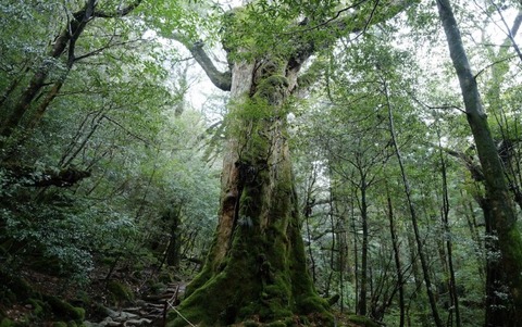 image1 (2)