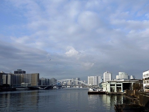 _DSC7255