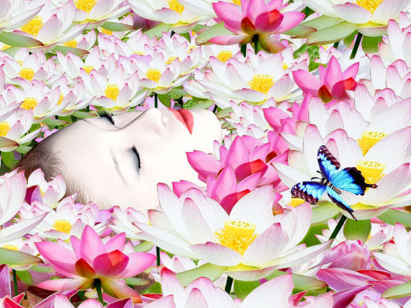 ±Ê±ó¤Î̲¤ê¤Î