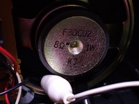 IMGP4065.jpg