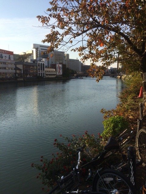 2014-11-19-15-56-13