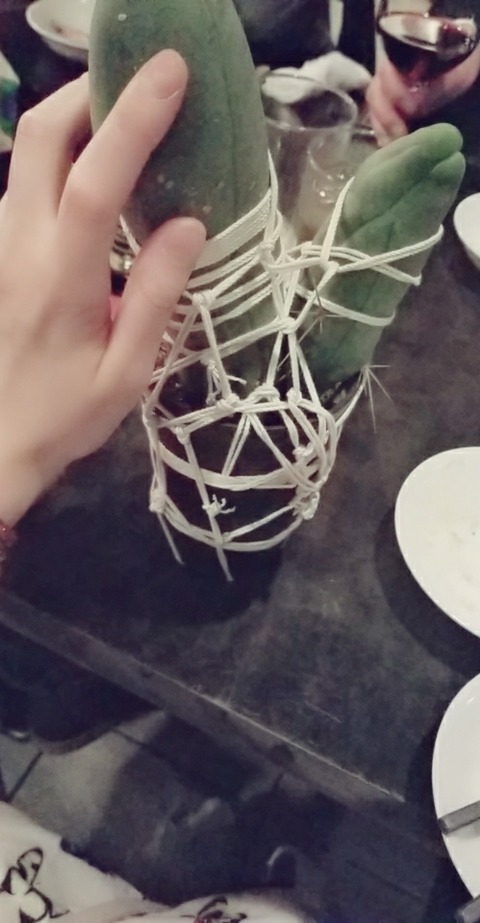 BeautyPlus_20180426214745538_save