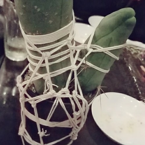 IMG_20180426_220256_570