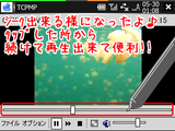 TCPMPflv_0.2seek.png