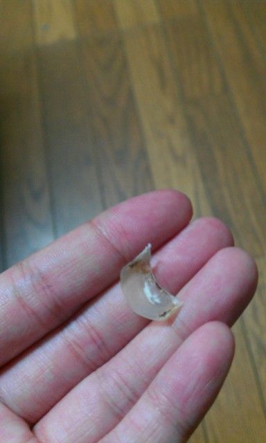 2011年8月29日 裏面