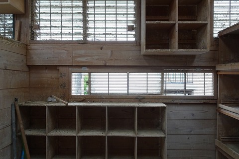 DSC00557