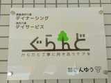 IMAG5256-1-1