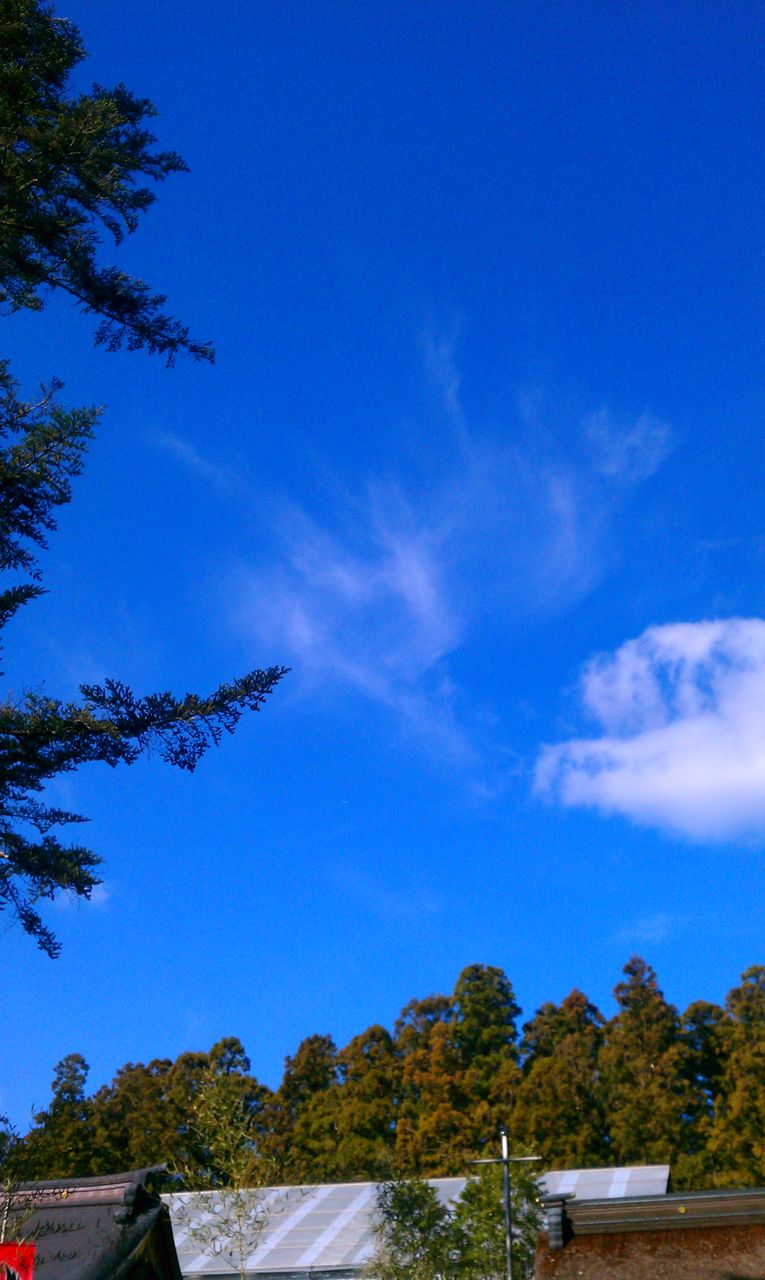 IMAG0636
