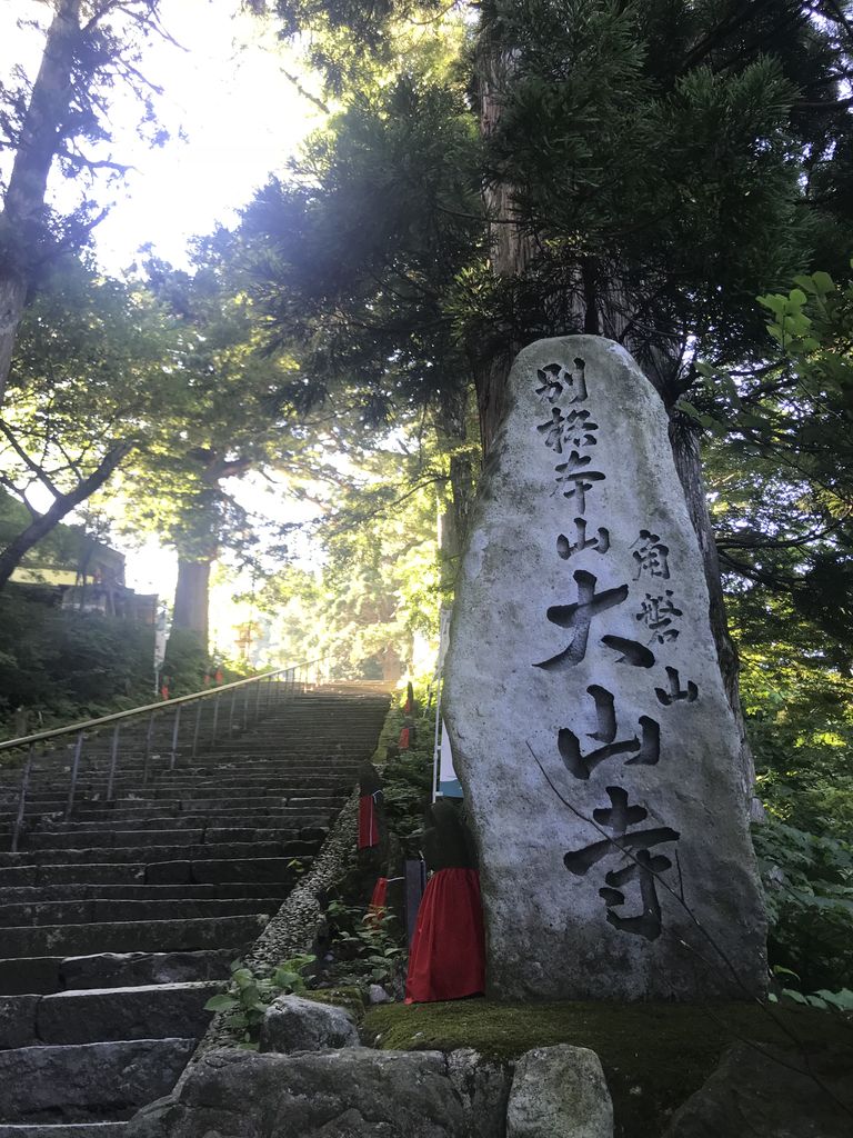D6890A4A-3D69-4339-9C1D-60B3DC2506F8