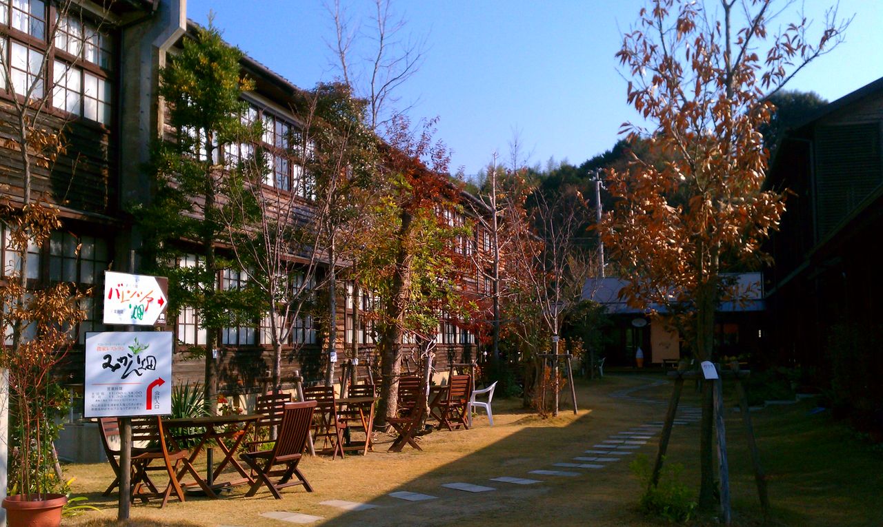 IMAG0575