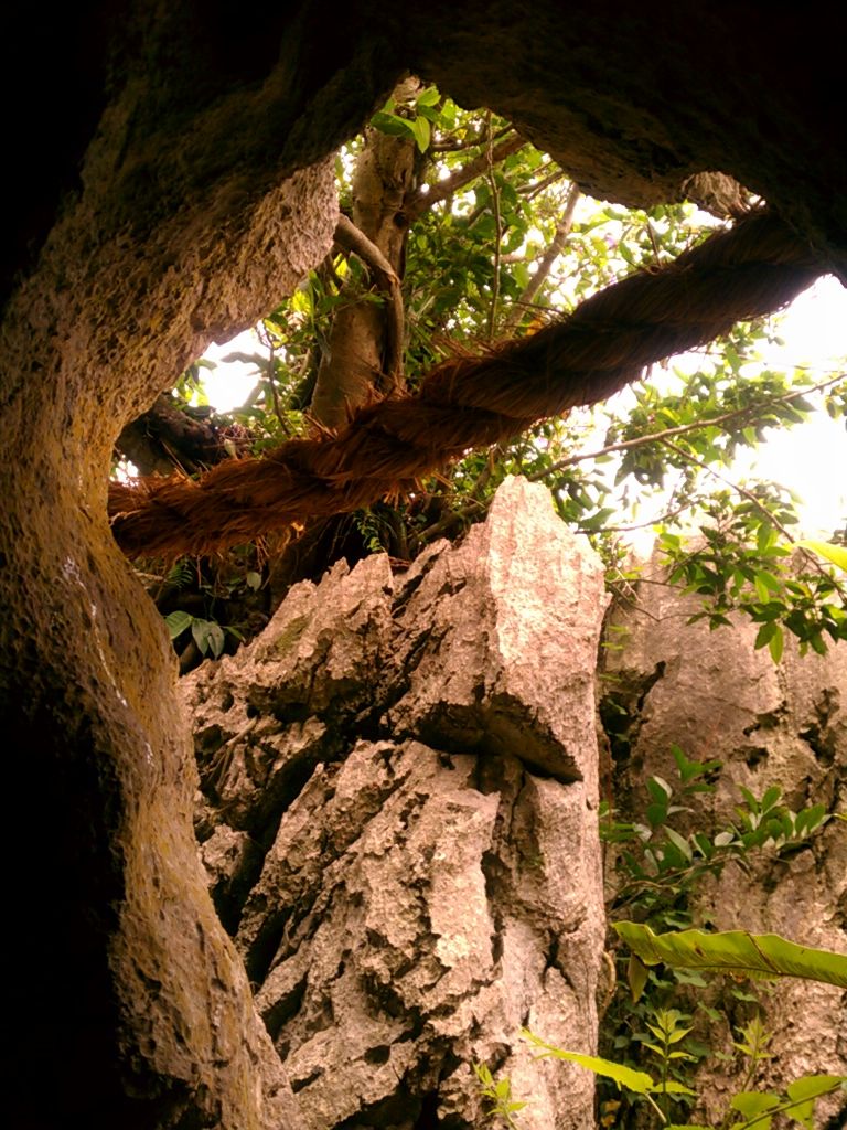 CameraZOOM-20130325113055409