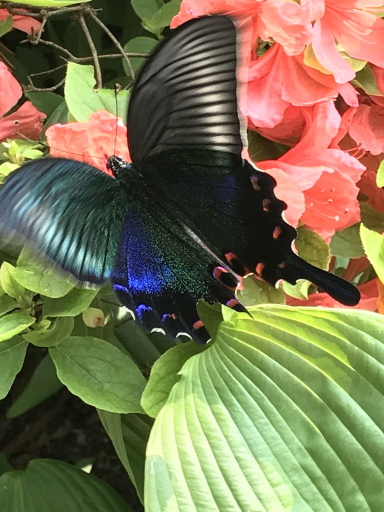 IMG_3257