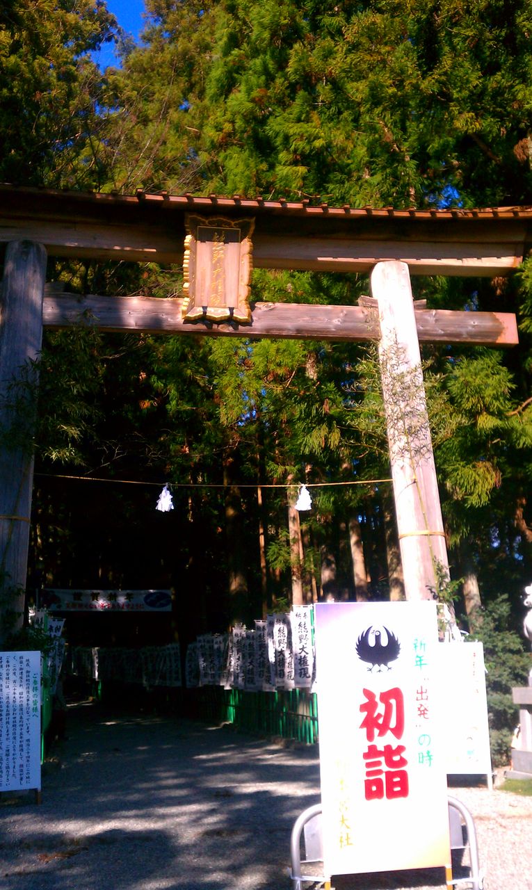 IMAG0631