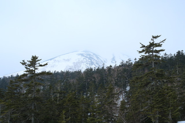 7E3A0494
