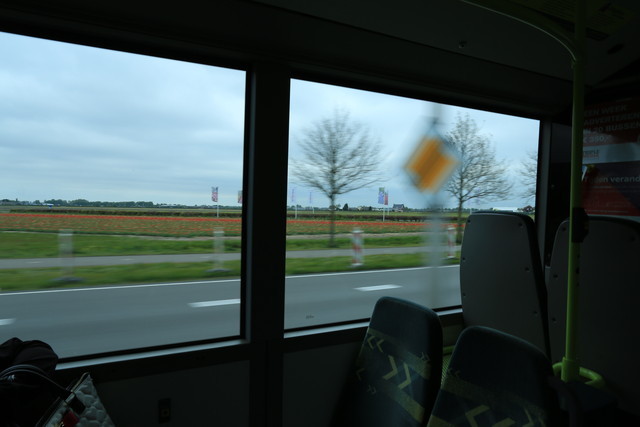 7E3A6009
