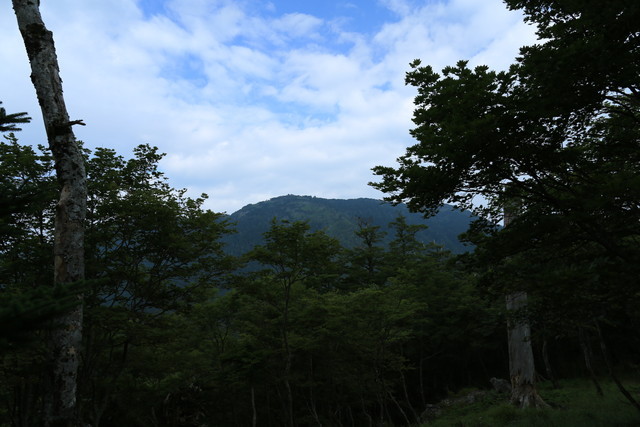 7E3A2562
