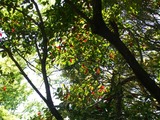 CIMG2635