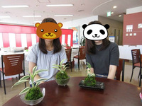 170708苔玉講習 (1)