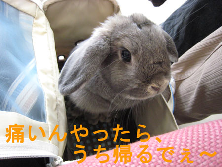 再発2