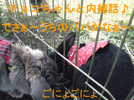 ¤¦¤µ¤ó¤Ý3_16