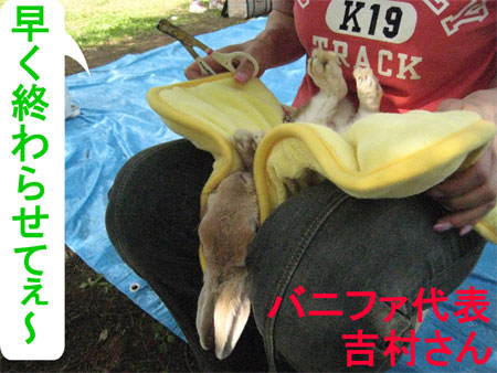 ¤¦¤µ¤ó¤Ý3_25