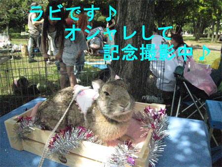 ¤¦¤µ¤ó¤Ý3_8