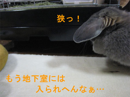 デカ4