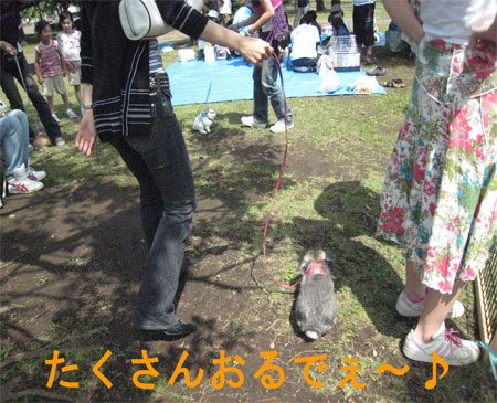 ¤¦¤µ¤ó¤Ý3_5