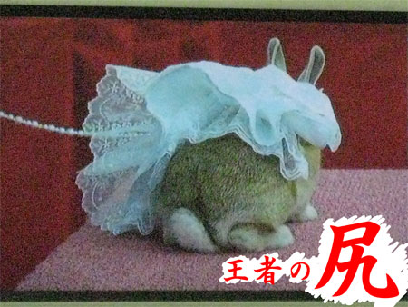 うさフェスタ2008:2日目全編〜出会い&再会〜_19