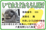 ����餷����ڥ���