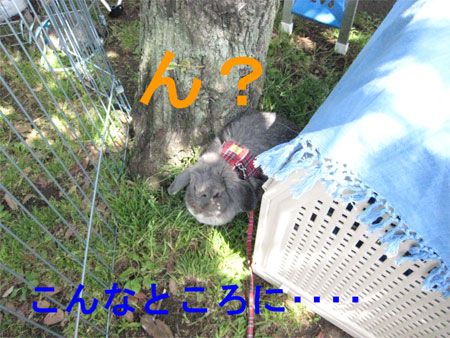 ¤¦¤µ¤ó¤Ý3_10