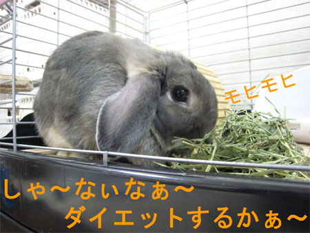 デカ2
