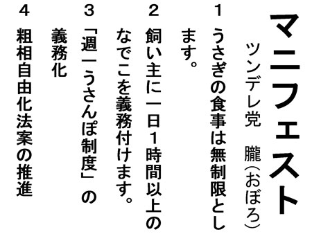 兎知事選3