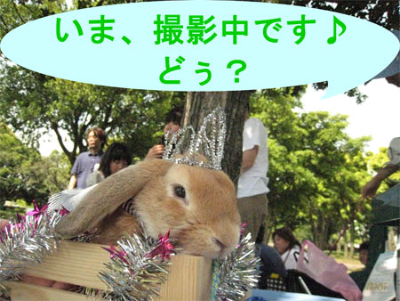 ¤¦¤µ¤ó¤Ý3_13