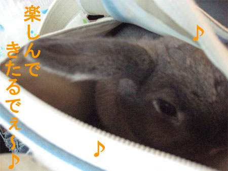 ¤¦¤µ¤ó¤Ý3_1