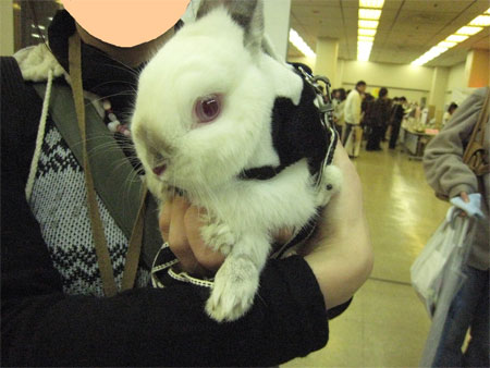 うさフェスタ2008:2日目全編〜出会い&再会〜_15